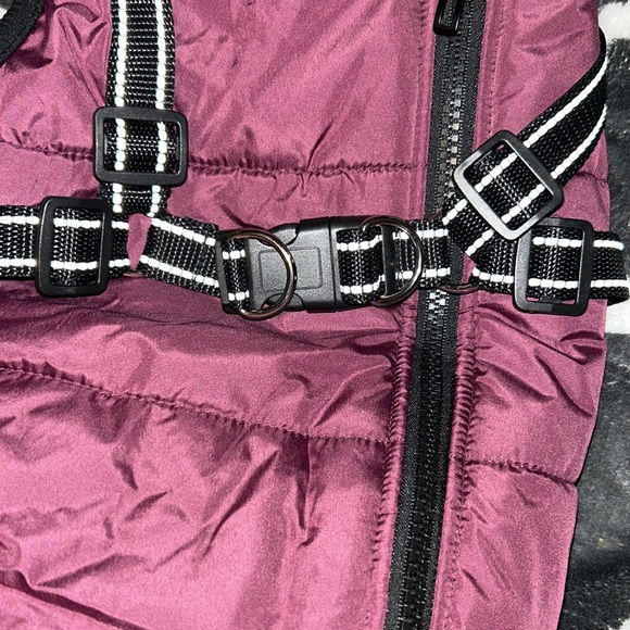NWT dog jacket with adjustable harness attached - Picture 4 of 5
